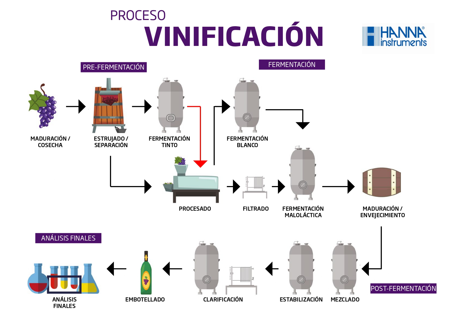 Diagrama del proceso de vinificación, desde la maduración de la uva, pasando por la fermentación, hasta el embotellado y análisis finales